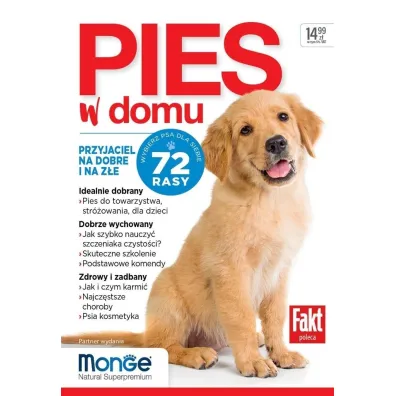 Pies w domu