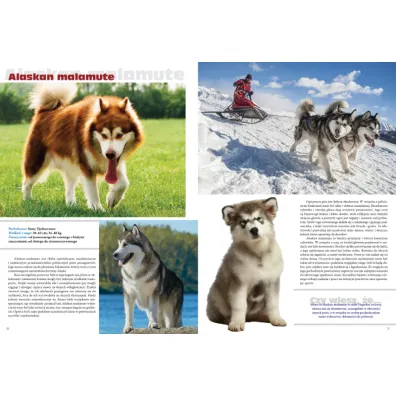 Psy rasowe. Podr�czna encyklopedia