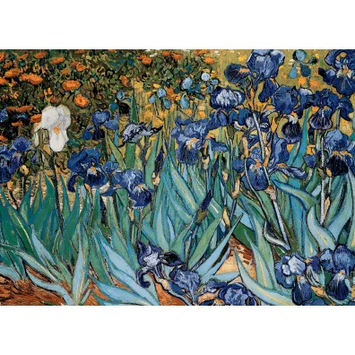 Puzzle 1000 el. Irysy Vincent van Gogh Eurographics