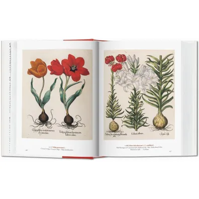 A Garden Eden. Masterpieces of Botanical Illustration. 40th Ed. wer. angielsko-francusko-niemiecka