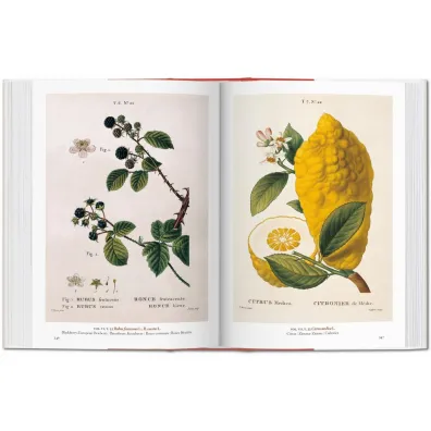 A Garden Eden. Masterpieces of Botanical Illustration. 40th Ed. wer. angielsko-francusko-niemiecka