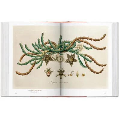 A Garden Eden. Masterpieces of Botanical Illustration. 40th Ed. wer. angielsko-francusko-niemiecka