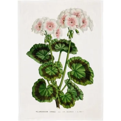 R�cznik kuchenny - Bia�a pelargonia
