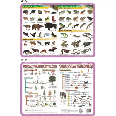 Visual System Podkadka edukacyjna. Ssaki, pazy i gady
