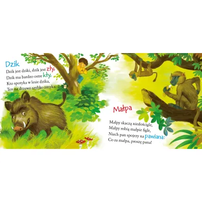 Ksi��eczka 200X190 Zoo SKRZAT 073348