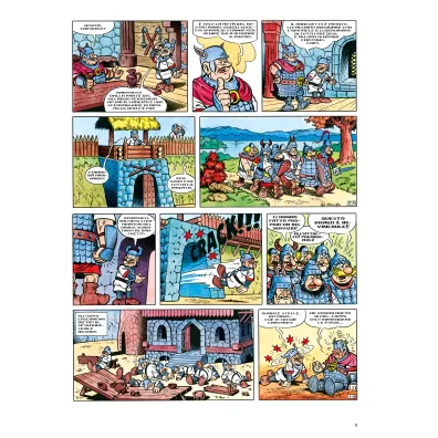 Kajko i Kokosz. Kajko e Kokosz - Il rimedio miracoloso