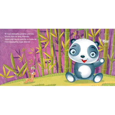 Bajeczki z mora�em. Panda Wanda