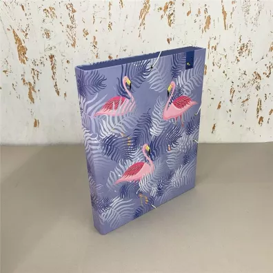 Bee-bee Teczka Box A4 na gumk Moderno Flamingi