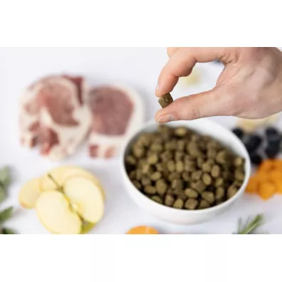 Ydolo Iberico - wieprzowina Iberico - karma pwilgotna dla psa 2.5 kg