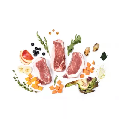 Ydolo Iberico - wieprzowina Iberico - karma pwilgotna dla psa 2.5 kg