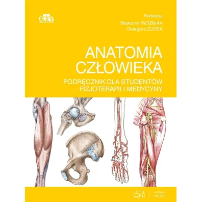 Anatomia cz�owieka. Podr�cznik dla student�w fizjoterapii i medycyny - Grzegorz �urek