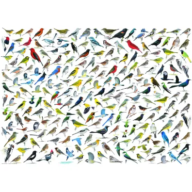 Puzzle 1000 el. �wiat ptak�w Eurographics