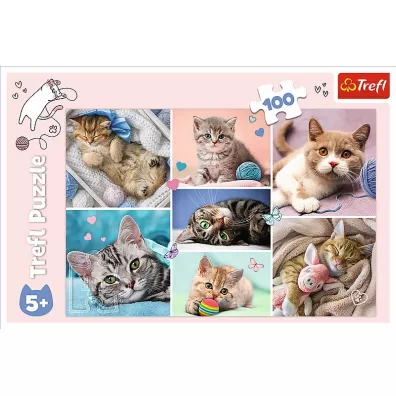 Puzzle 100 el. W kocim wiecie Trefl