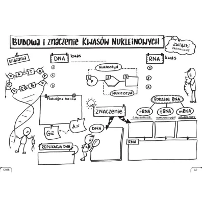 Biologia. Graficzne karty pracy dla liceum i technikum. Poziom podstawowy. Zestaw 1
