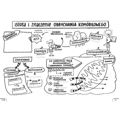 Biologia. Graficzne karty pracy dla liceum i technikum. Poziom podstawowy. Zestaw 1