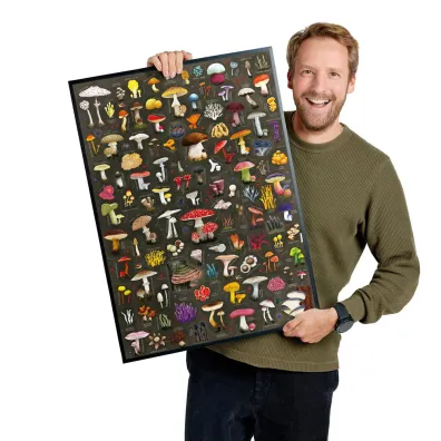 Puzzle Puzzlove CzuCzu 1000 el. Grzyby Bright Junior Media