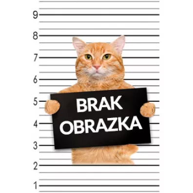 Kolorowe Baloniki Zdrapywanki Mini Scratch & Scribble Kotki