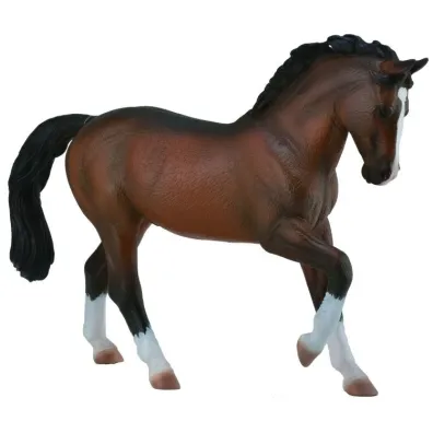 Ogier Warmblood Stallion Bay