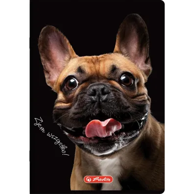 Herlitz Zeszyt do s��wek A6 Crazy Animal kratka 32 kartki
