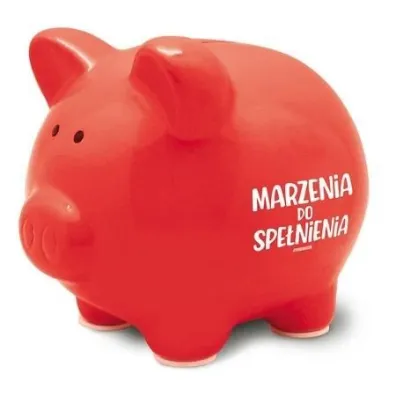 Skarbonka Pastel-Marzenia do spe�nienia Pan Dragon
