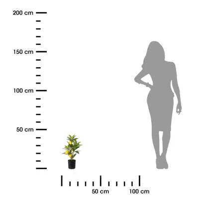 ProGarden Cytrusowe drzewko w donicy 43 cm
