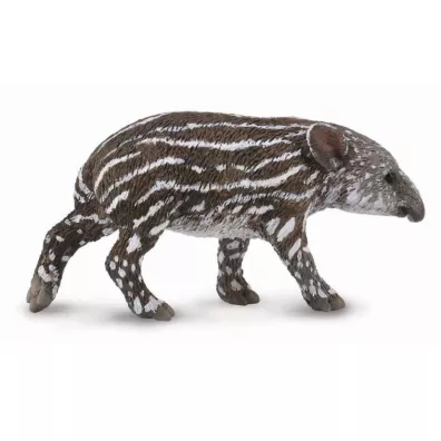 Tapir ciel� bairda