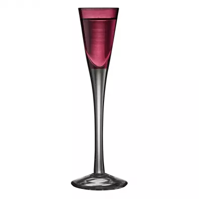 Lyngby Glas Kieliszki do wdki Aquavit mix 916208