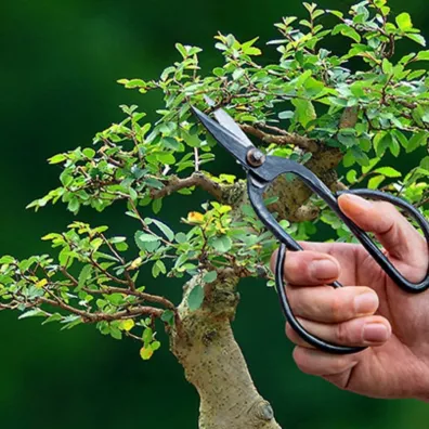 Esschert Design Noyce do przycinania drzewek Bonsai