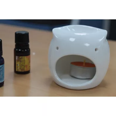 Kominek do aromaterapii Niska Sowa