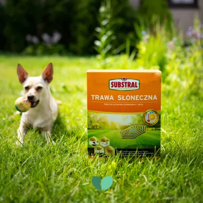 Substral Mieszanka nasion Trawa Soneczna ogrodowa 2.3 kg