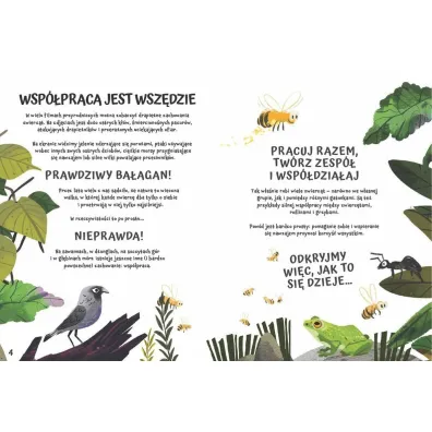 Razem nam lepiej. O wsp�pracy w�r�d zwierz�t