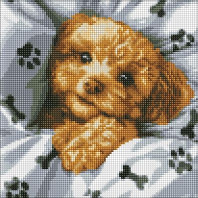 Zdjęcia - Puzzle i mozaiki Ideyka Diamentowa mozaika - Uroczy Maltipoo 40x40cm 