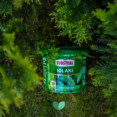 Substral Naw�z do iglak�w 100 dni 5 kg