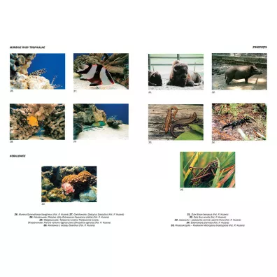 Encyklopedia szkolna - biologia
