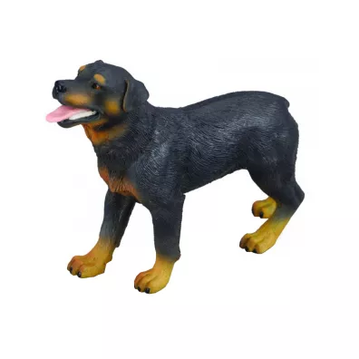 Pies rottweiler