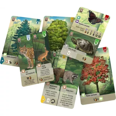 Le�ne rozdanie Rebel