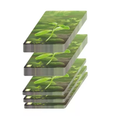 Le�ne rozdanie Rebel