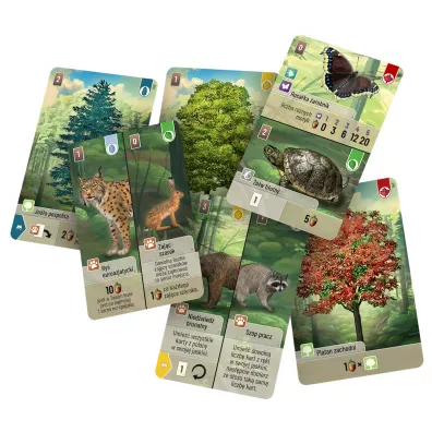 Le�ne rozdanie Rebel