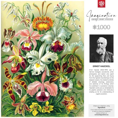 Puzzle 1000 el. Ernst Haeckel Orchidea / Orchid Good Loot