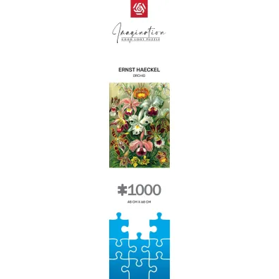 Puzzle 1000 el. Ernst Haeckel Orchidea / Orchid Good Loot