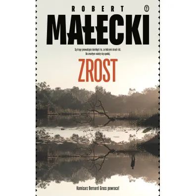 Zrost. Bernard Gross. Tom 4 - Robert Ma�ecki