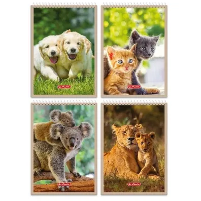 Herlitz Notatnik A6/40K kratka Animals