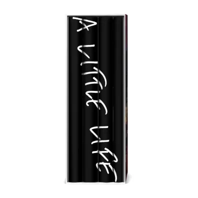 A Little Life Box Set (Four Volumes)