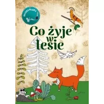 Co �yje w lesie. Kolorowanka - Gil Wojciech