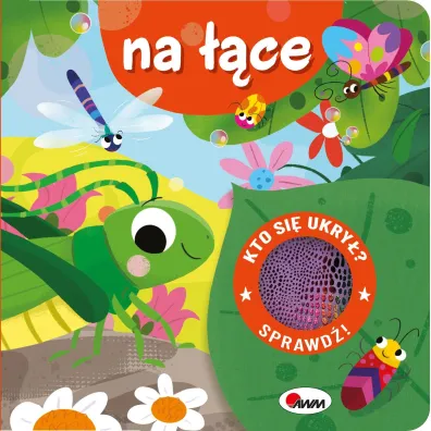 Kto si� ukry�? Na ��ce
