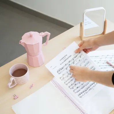 Skoroszyt A4 z gumk� Pusheen CFA405