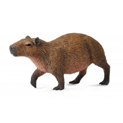 Kapibara gryzo