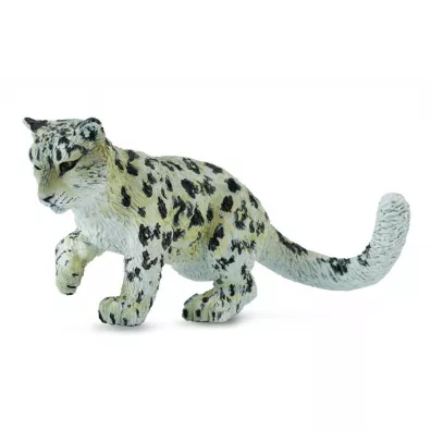 Leopard m�ody �nie�ny bawi�cy si�