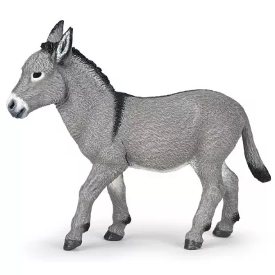 Osio� prowansalski