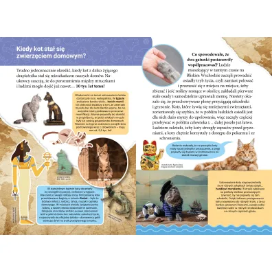 Ksi��ka edu. B5 Ma�a encyklopedia. Koty SKRZAT 077322